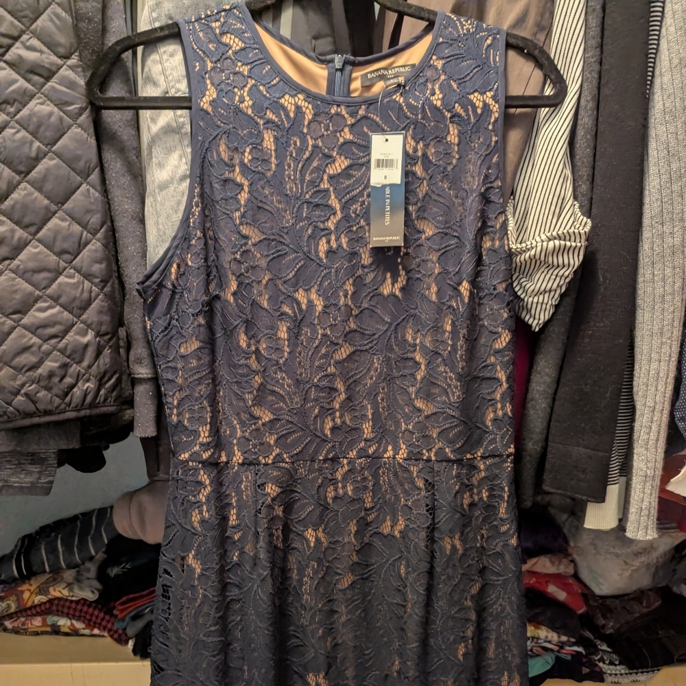 Sleeveless Navy Lace Overlay Dress with Nude Lining